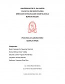 PRACTICA DE LABORATORIO QUIMICA VERDE