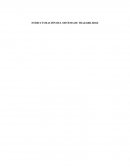 ESTRUCTURACIÓN DEL SISTEMA DE TRAZABILIDAD