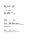 Creacion Base de Datos