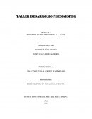 Taller desarrollo psicomotor