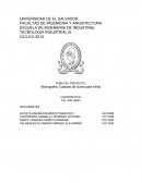 Monografía: Calzado de cuero para niñas
