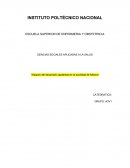 Impacto del desarrollo capitalista en la sociedad de México