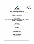 Rol y Funciones de la Tesorería de la Seguridad Social (TSS) en el Sistema Dominicano de Seguridad Social