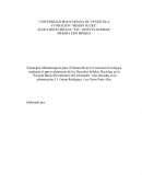 Tesis sobre reciclaje