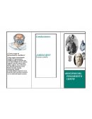 El surgimiento del pensamiento cientifico