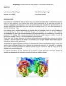 PRÁCTICA 4: EXTRACCIÓN DE UNA ENZIMA Y ACTIVIDAD ENZIMÁTICA