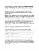 Sistemas de Asientos de Esclavos Negros