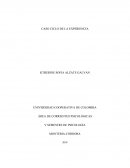 Ciclo de experiencia