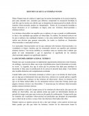 RESUMEN LO QUE LAS TEORÍAS NO SON