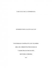 Ciclo de experiencia. Página 1