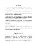 Fortalezas de una empresa