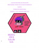 FORMACION EMPRESARIAL MOFFCON´S S.A. de C.V