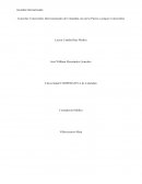Acuerdos Comerciales Internacionales de Colombia con otros Países o grupos Comerciales
