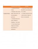 Servicios de viaje principales atractivos de tlapacoyan veracruz