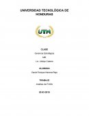 Gerencia Estratégica. Foda Miel Los Pinares