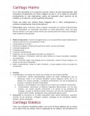 Cartilago Hia