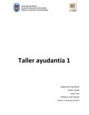 Análisis de las producciones de los alumnos