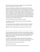 Gastronomia historia