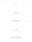 Ensayo Empresarialidad