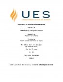 Desarrollo de los grupos