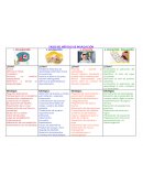 FASES DEL MÉTODO DE INDAGACIÓN