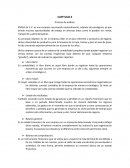 Proceso de análisis: BYDSA de C.V