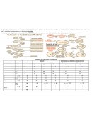 Tipos de unidades de medición