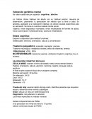 Valoración geriátrica mental