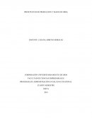 PRESUPUESTO DE PRODUCCION Y MANO DE OBRA