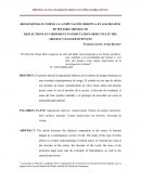 REFLEXIONES EN TORNO A LA IMPUTACIÓN OBJETIVA EN LOS DELITOS DE PELIGRO ABSTRACTO