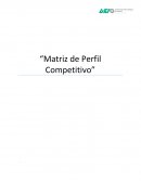 Matriz de perfil competitivo empresa Factory One Shop