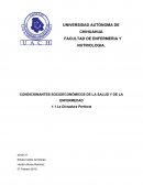 Resumen la dictadura perfecta