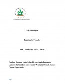 Microbiología Practica 5: Tepache