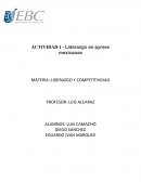 ACTIVIDAD 1 - Liderazgo en pymes mexicanas