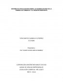 INFORME DE SOCIALIZACIÓN SOBRE LAS GENERALIDADES DE LA CÁMARA DE COMERCIO Y EL REGISTRO MERCANTIL
