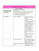 ESTRUCTURA DEL PLAN DE ESTUDIOS 2011