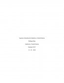 Aspectos Generales de Auditoría y Control Interno