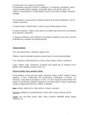 La ciencia está en el campo de la metonimia