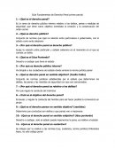 Guía Fundamentos de Derecho Penal primer parcial