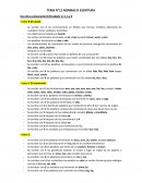 Normativas de escritura con la letra B, V, C, S y Z