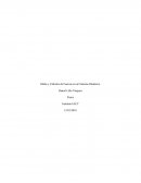 Ondas y Cálculos de Fuerzas en un Sistema Dinámico