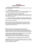 Taller Replicación, Trasncripción y Traducción