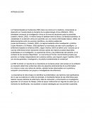 Ensayo de enfermeria basada en evidencia