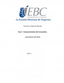 Fase 2 comportamiento del consumidor