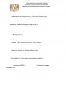 Laboratorio de Dispositivos y Circuitos Electronicos. Practica 8 SD