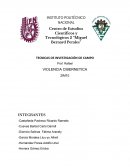 VIOLENCIA CIBERNETICA