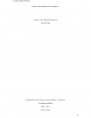 Ensayo sobre planeación estratégica