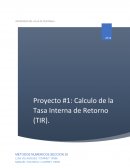 Calculo de la TIR por medio del metodo de Newton Rhapson
