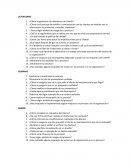Preguntas auditoria interna