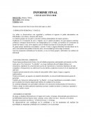 INFORME FINAL CICLO LECTIVO 2018